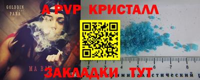 молекула духа Будённовск