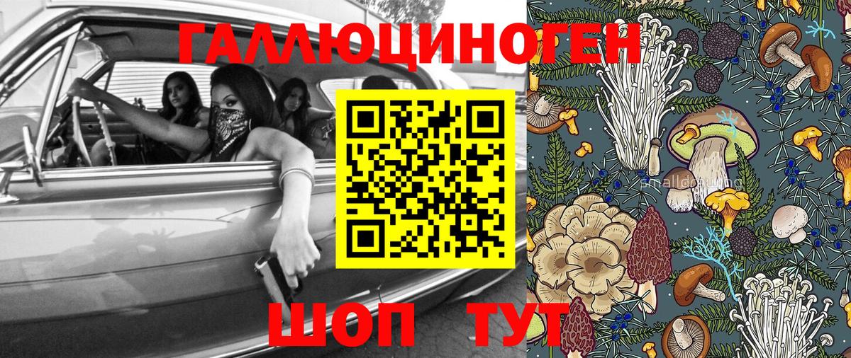 Псилоцибиновые грибы Psilocybe Костомукша
