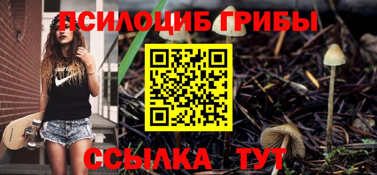 Костомукша  Псилоцибиновые грибы прущие грибы  Вход с VPN  Галлюциногенные грибы Magic Shrooms 